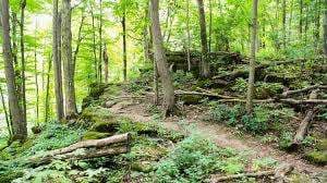 Mountainview Park – Bild 3