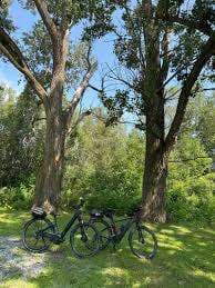 Parc Pierre-Le Moyne-D'lberville – Bild 1
