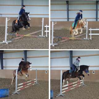 Reitschule Hof Tannhorst – Bild 3