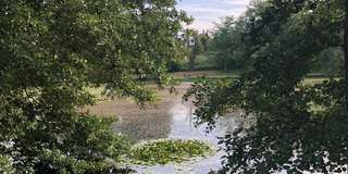 Mattheiser Weiher – Bild 5