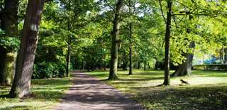 Eversten Holz – Bild 1