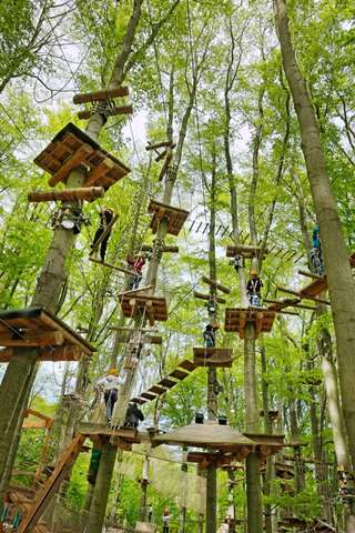 AbenteuerPark Kletterwald - Winterpause bis 21.März 2026 – Bild 1