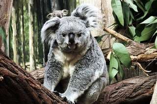 Zoo Leipzig – Bild 2