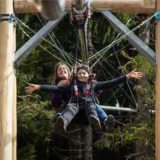 Dragon Glider – Bild 1