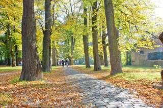 Abenteuersp – Bild 3