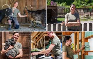 Streichelzoo Hohenstein Witten – Bild 2