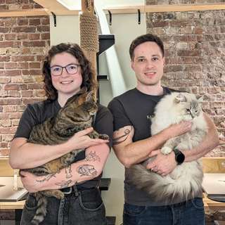 Katzentempel Bremen – Bild 1