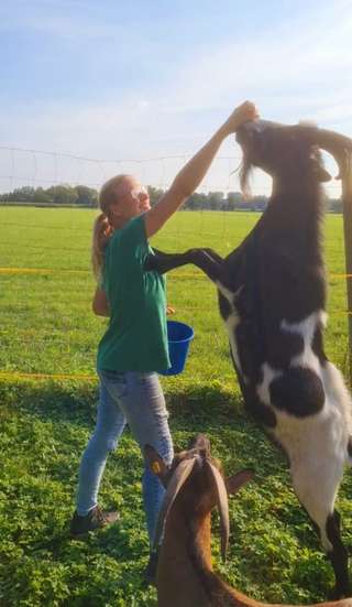 Hof Lange und das bunte AllerlEi – Bild 2