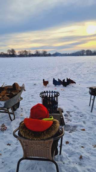 Hof Lange und das bunte AllerlEi – Bild 6