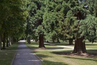 Panoramapark – Bild 5