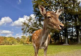 Lindenthaler Tierpark – Bild 2