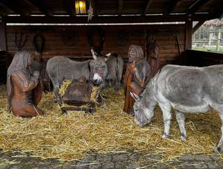 Lindenthaler Tierpark – Bild 6