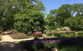 Freundschaftsinsel – Bild 6