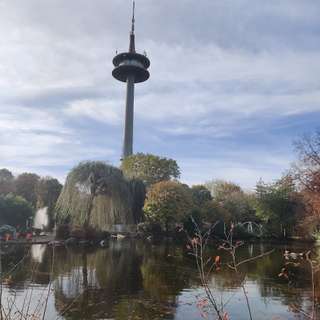 Heuberg Park – Bild 1