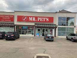MrPets – Bild 1