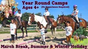 Smiling Faces Equestrian – Bild 1