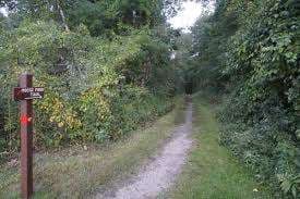 Benson Park – Bild 2