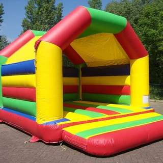 Dino Dschungel – Bild 6