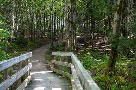 Escarpement Park – Bild 3