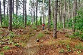 Forest Lea Park – Bild 5