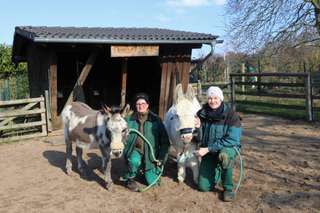 Bauernhof Südpark – Bild 1