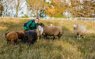 Bauernhof Südpark – Bild 2