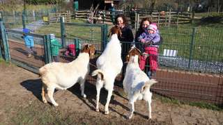 Bauernhof Südpark – Bild 3