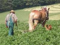 Biohof Heckseifen Kurt Ohrndorf – Bild 2