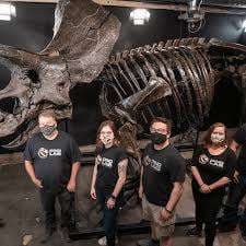 Dino Lab Inc. – Bild 1