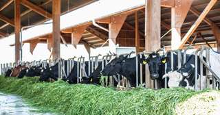 Hofgut Oberfeld Landwirtschaft AG – Bild 1