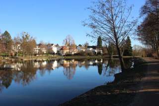 Maasgrund – Bild 1