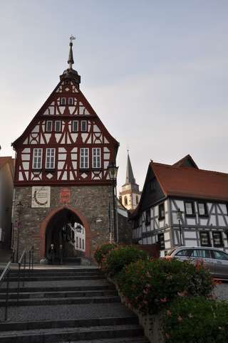 Maasgrund – Bild 3