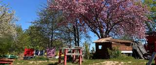 Farm am Holzlarer Weg – Bild 3