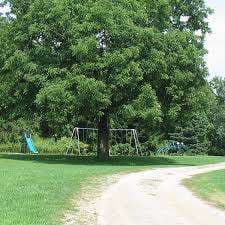 Dan Patterson Conservation Area – Bild 3