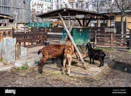 Jugendfarm Moritzhof – Bild 1