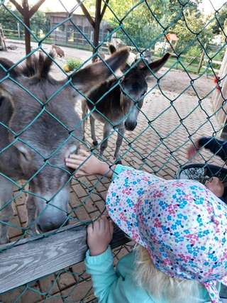 Unsere Bauernhofkita – Bild 3