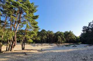 Warwer Sand – Bild 2