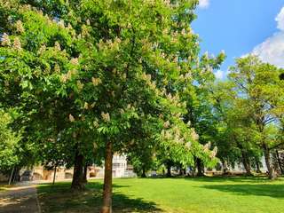 Maille Esslingen am Neckar – Bild 3