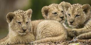 Zoo Neuwied – Bild 2