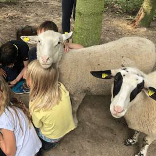 Hof Erftaue - Julia Dahmen - Bauernhof- & Naturpädagogin – Bild 3