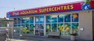 Big Al's Aquarium Supercentres - Mississauga – Bild 1