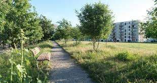 Erlenmattpark – Bild 1