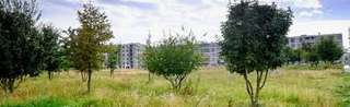 Erlenmattpark – Bild 6