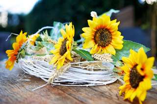 Gaststätte Schurwaldhöhe – Bild 6