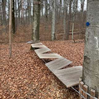 Niederseilgarten „Auf der Steige“ – Bild 4