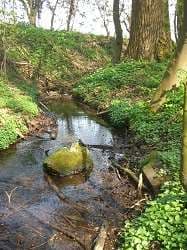 Wasserstelle Zum Glessener Bach – Bild 1