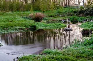 Wasserstelle Zum Glessener Bach – Bild 2