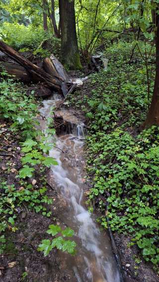 Wasserstelle Zum Glessener Bach – Bild 3