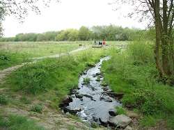 Wasserstelle Zum Glessener Bach – Bild 4