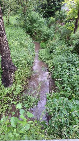 Wasserstelle Zum Glessener Bach – Bild 6